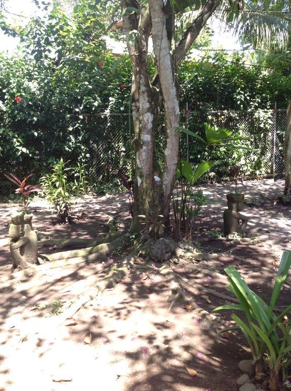 Morpheus Exotica Lodge Puerto Viejo de Talamanca Exterior foto
