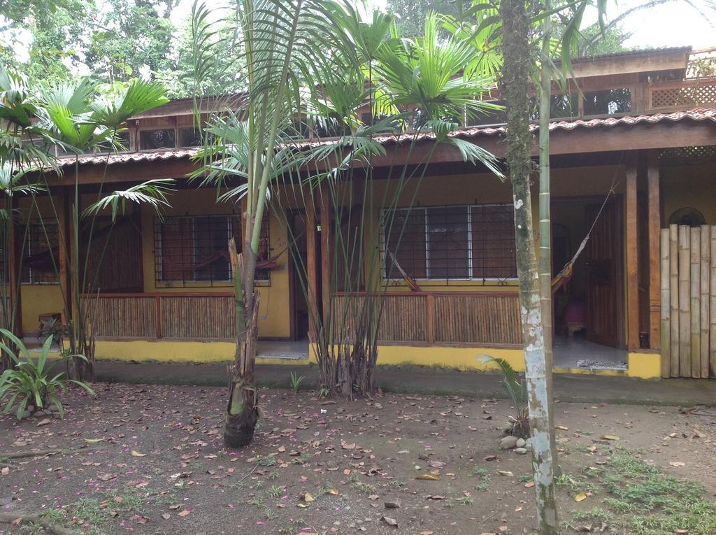 Morpheus Exotica Lodge Puerto Viejo de Talamanca Exterior foto