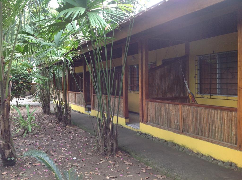 Morpheus Exotica Lodge Puerto Viejo de Talamanca Exterior foto